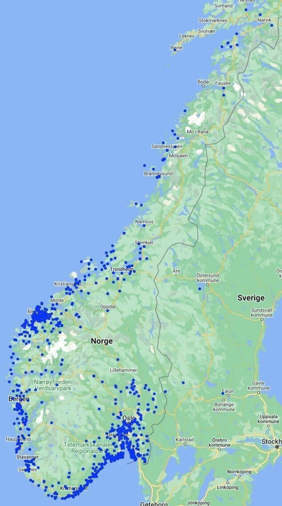 Flåttsenteret har nylig lansert et nytt kart der folk kan rapporterer inn observasjoner de har gjort av flått i Norge. De blå prikkene på kartet er registrerte flåttobservasjoner. Flåttsenteret har nylig lansert et nytt kart der folk kan rapporterer inn observasjoner de har gjort av flått i Norge. De blå prikkene på kartet er registrerte flåttobservasjoner. Foto: https://flattkart.no/
