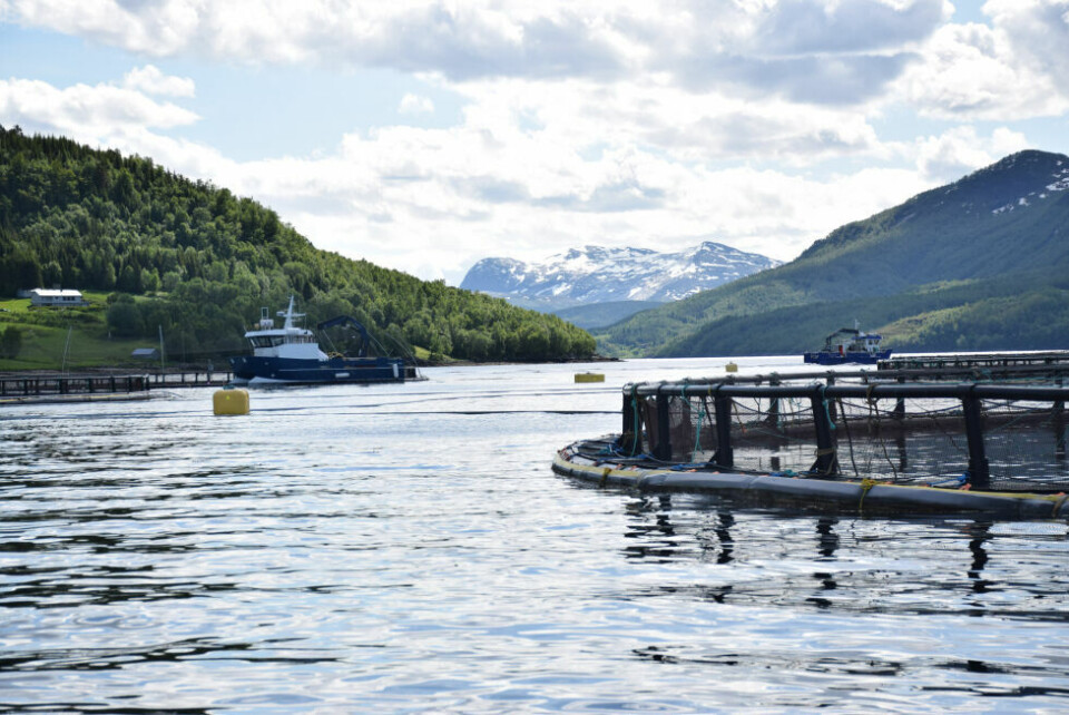 Mowi har flere lokaliteter i Sørfold, og inviterer til folkemøte på landbasen på Kines. Mowi har flere lokaliteter i Sørfold, og inviterer til folkemøte på landbasen på Kines. Foto: Arkiv