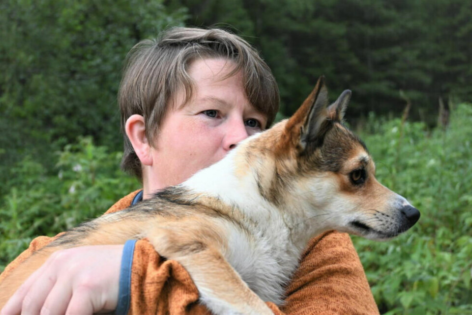 LANGT UNNA. Dette er andre gang Carina Svemo Stokland opplever et jordskjelv helt til Djupdalen. Både hun og hundene skvatt. LANGT UNNA. Dette er andre gang Carina Svemo Stokland opplever et jordskjelv helt til Djupdalen. Både hun og hundene skvatt. Foto: Lise Ailin Rosvoll Berntzen