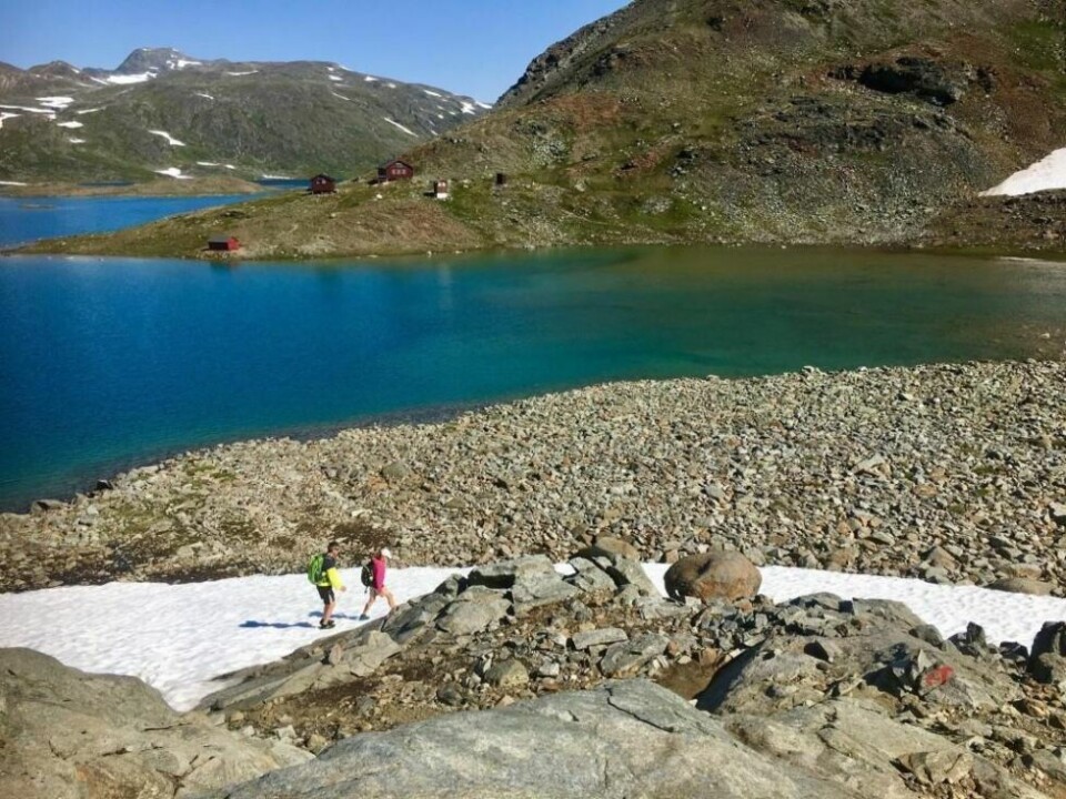 HYTTE I SIKTE. Her er et lite turfølge på vei til Sorjus-hytta som ligger langs Nordlandsruta. HYTTE I SIKTE. Her er et lite turfølge på vei til Sorjus-hytta som ligger langs Nordlandsruta. Foto: Bjørn-Are Melvik