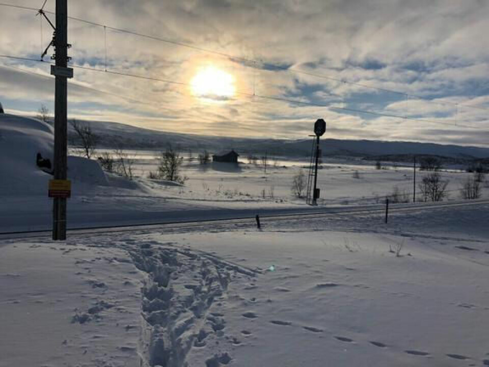 - Husk at sporene fra ski og jernbane aldri skal krysses. Det er en slags 10. fjellvettregel, råder Pål Buset i Bane NOR. - Husk at sporene fra ski og jernbane aldri skal krysses. Det er en slags 10. fjellvettregel, råder Pål Buset i Bane NOR. Foto: Bjørn Løne/Spordrift AS