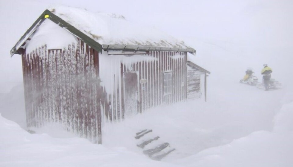 MYE SNØ. Det kan komme mye snø i høyden fra onsdag kveld. Slik ser det ut i snøfokk på Midstistua mellom Nordre og Søndre Bjøllåvatn på Saltfjellet. Arkivfoto: Carl Norberg