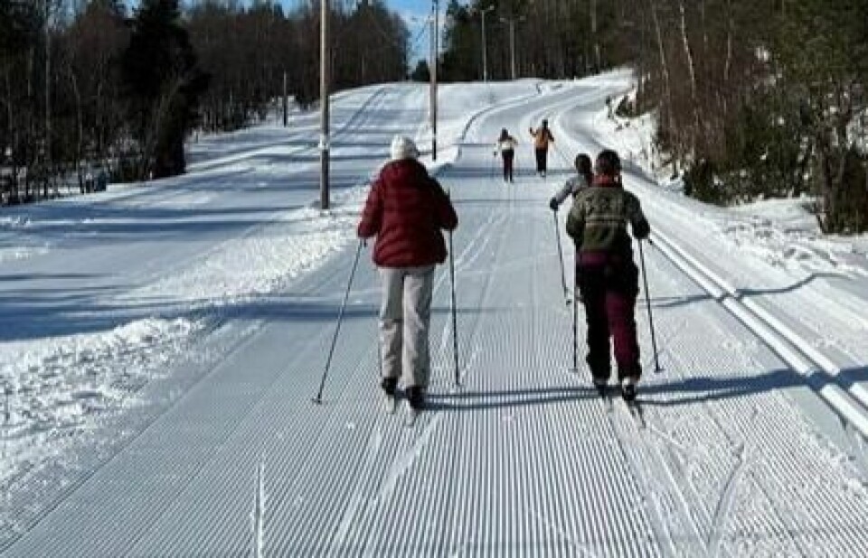 IDYLL. Finfine forhold for skigåing under vinteraktivitetsdagen. IDYLL. Finfine forhold for skigåing under vinteraktivitetsdagen. Foto: Vestmyra skole