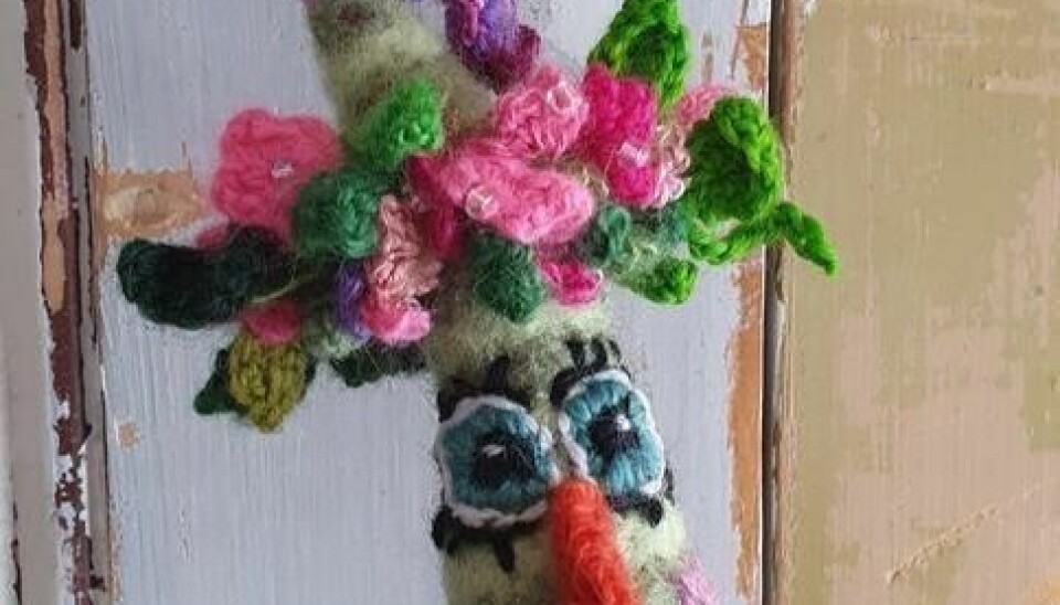 BLOMSTERHØNE. Petunia har fått blomsterkrans på hodet. BLOMSTERHØNE. Petunia har fått blomsterkrans på hodet. Foto: Foto: Anita Ness Byberg