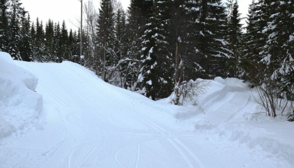 Illustrasjon. Ny preparert skiløype til høring. Illustrasjon. Ny preparert skiløype til høring. Foto: Arkiv Eva S. Winther