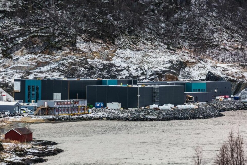 RASUTSATT. Allerede under anleggsperioden ble det foretatt en del rassikring av fjellsiden bak Salmobreed Salten sitt anlegg. RASUTSATT. Allerede under anleggsperioden ble det foretatt en del rassikring av fjellsiden bak Salmobreed Salten sitt anlegg. Foto: Salmobreed