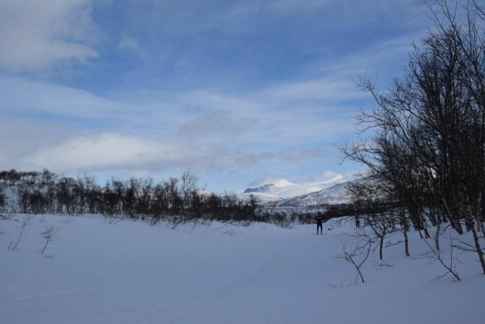 SOLSKINN. Solstrålene varmet i hele indre Salten denne april-dagen. Desverre vil ikke det gode været vare ut helga, i følge meteorologene. SOLSKINN. Solstrålene varmet i hele indre Salten denne april-dagen. Desverre vil ikke det gode været vare ut helga, i følge meteorologene. Foto: Lise Ailin Rosvoll Berntzen