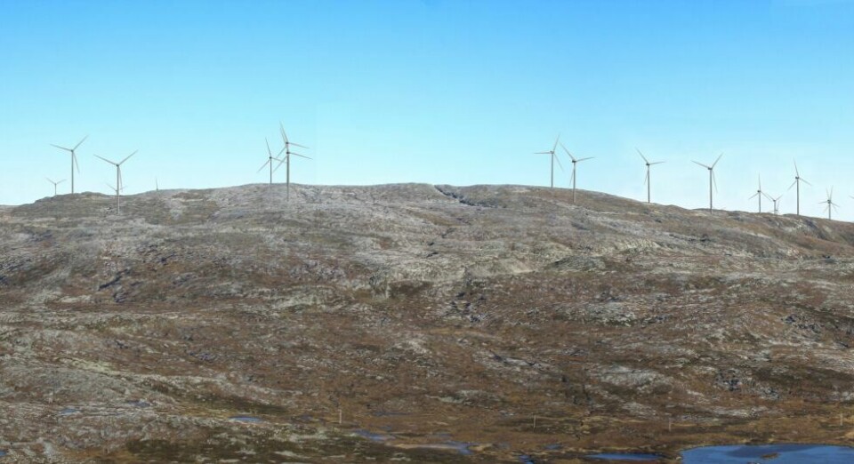 - Inngrepene og tapene av natur er irreversible Foto: Arkiv