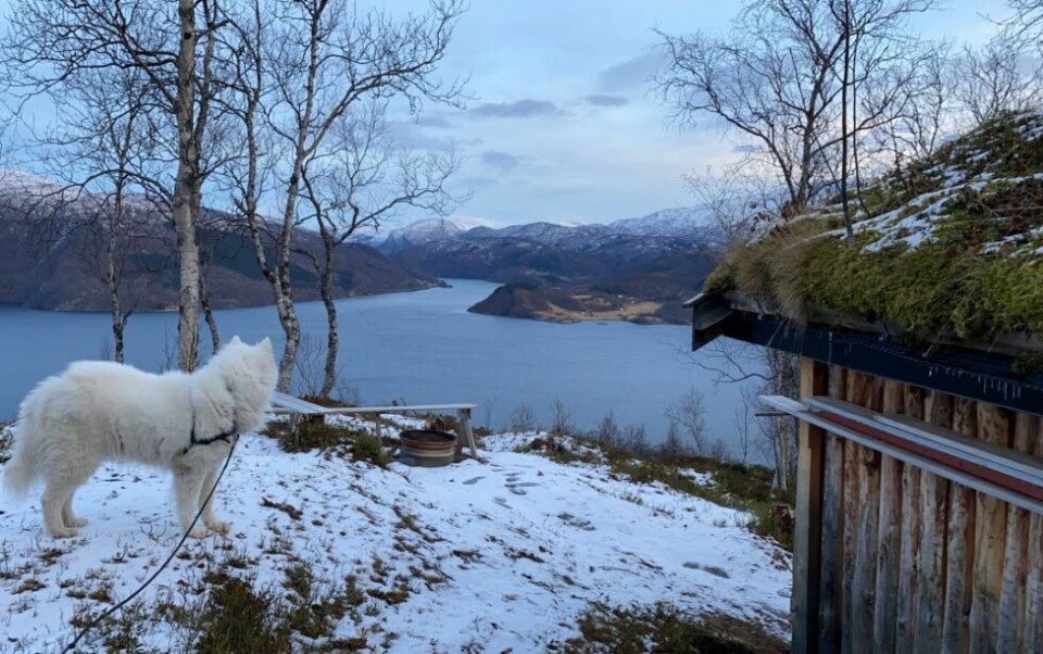 Fra bålplassen ved Kvanngrøva har man utsikt over fjorden. Her ser man Buvika midt imot. Fra bålplassen ved Kvanngrøva har man utsikt over fjorden. Her ser man Buvika midt imot. Foto: Eva S. Winther