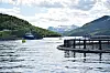 MER LAKS. Mowi ASA har fem lokaliteter for matfisk i Sørfold. Nå ønsker de å utvide i Jektvika. Bildet er for øvrig fra lokaliteten ved Nedre Kvarv. Foto: Maria Edvardsen