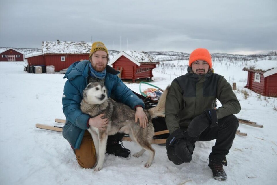 TRENGER TUR. Snart skal hundene ut på tur. De må løpe to mil om dagen for å holde seg i form. Kjell-Harald Myrseth (t.v.) og Lars Grytvik Tessem. TRENGER TUR. Snart skal hundene ut på tur. De må løpe to mil om dagen for å holde seg i form. Kjell-Harald Myrseth (t.v.) og Lars Grytvik Tessem. Foto: Ole Kristian Andreassen