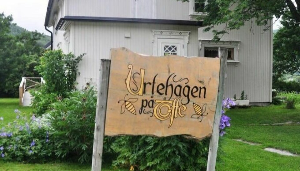 KONSERT. Søndag blir det servert konsert på Urtehagen på Tofte i Misvær, med blant annet tolkninger av Evert Taube og en rekke «evergreens». Dessuten blir det også mulig å nyte et godt måltid. KONSERT. Søndag blir det servert konsert på Urtehagen på Tofte i Misvær, med blant annet tolkninger av Evert Taube og en rekke «evergreens». Dessuten blir det også mulig å nyte et godt måltid. Foto: Sylvia Bredal