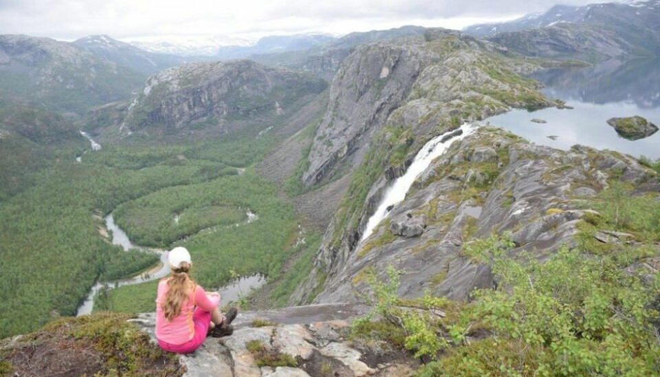 JUBILEUM. Rago nasjonalpark er et populært turmål, ikke minst Litlverivassfossen. Nest år har nasjonalparken 50-årsjubileum. JUBILEUM. Rago nasjonalpark er et populært turmål, ikke minst Litlverivassfossen. Nest år har nasjonalparken 50-årsjubileum. Foto: Nina S. Winther