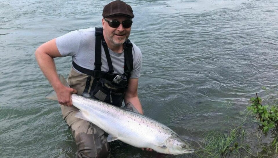 STOLAKS. Robin Pettersen er en av de heldige laksefiskerne, her med en laks på 13 kilo tatt på flue på Os fredag i forrige uke. Laksen ble satt ut igjen etter å ha blitt fotografert. STOLAKS. Robin Pettersen er en av de heldige laksefiskerne, her med en laks på 13 kilo tatt på flue på Os fredag i forrige uke. Laksen ble satt ut igjen etter å ha blitt fotografert. Foto: Fra Scanatura