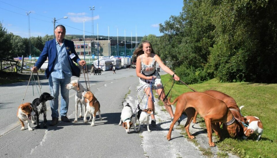 MANGE RASER. Faruk Mujanic (56) og Amalie Hjartøy (16) har reist fra Stavanger med denne hundeflokken bestående av seks ulike raser, og har litt å holde styr på. - Men vi er vant til det, smiler de. MANGE RASER. Faruk Mujanic (56) og Amalie Hjartøy (16) har reist fra Stavanger med denne hundeflokken bestående av seks ulike raser, og har litt å holde styr på. - Men vi er vant til det, smiler de. Foto: Maria Edvardsen