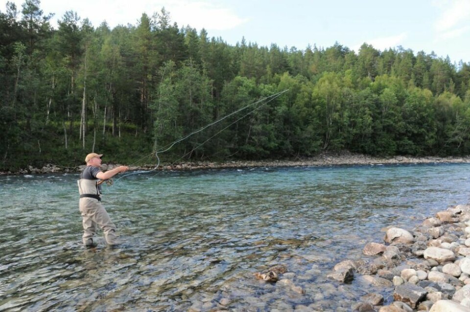 NATURFERIE. Ansgar Weis (45) kjører omtrent hvert eneste år fra midt i Tyskland og helt til Saltdal for å fiske laks og oppleve naturen i dette området, som han syns er helt spesielt. - Men jeg tror ikke jeg kunne bodd her hele året, sier han. NATURFERIE. Ansgar Weis (45) kjører omtrent hvert eneste år fra midt i Tyskland og helt til Saltdal for å fiske laks og oppleve naturen i dette området, som han syns er helt spesielt. - Men jeg tror ikke jeg kunne bodd her hele året, sier han. NATURFERIE. Ansgar Weis (45) kjører omtrent hvert eneste år fra midt i Tyskland og helt til Saltdal for å fiske laks og oppleve naturen i dette området, som han syns er helt spesielt. - Men jeg tror ikke jeg kunne bodd her hele året, sier han. NATURFERIE. Ansgar Weis (45) kjører omtrent hvert eneste år fra midt i Tyskland og helt til Saltdal for å fiske laks og oppleve naturen i dette området, som han syns er helt spesielt. - Men jeg tror ikke jeg kunne bodd her hele året, sier han. Foto: Maria Trondsen