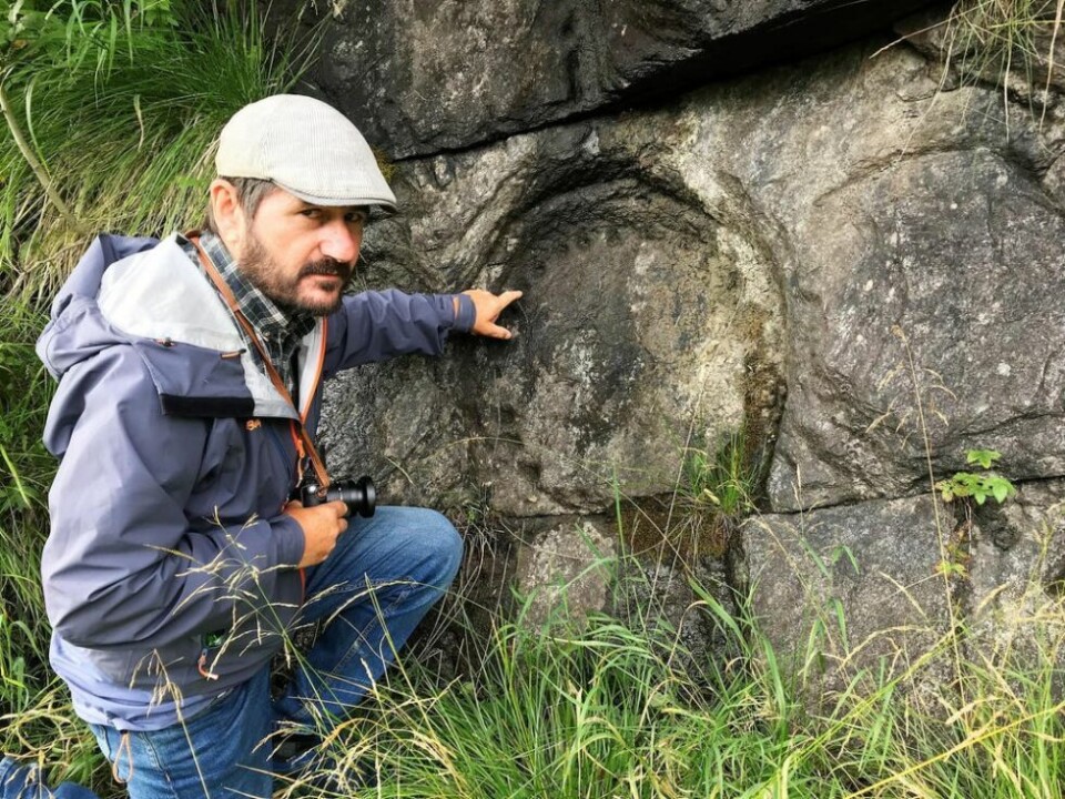 TYDELIGE SPOR. For over 1.200 år siden fant saltdalingene ut at berget i fjellet over Saksenvik hadde den riktige kvaliteten til å hente ut emner til kvernstein. Mandag ettermiddag Finn Rønnebu fra Nordlandsmuseet fram merkene i berget. TYDELIGE SPOR. For over 1.200 år siden fant saltdalingene ut at berget i fjellet over Saksenvik hadde den riktige kvaliteten til å hente ut emner til kvernstein. Mandag ettermiddag Finn Rønnebu fra Nordlandsmuseet fram merkene i berget. Foto: Maria E. Trondsen Foto: Maria Trondsen