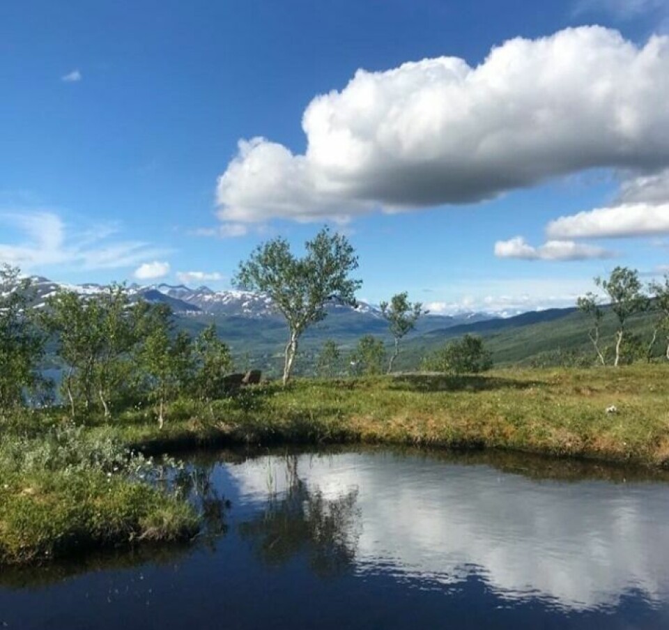 VIND OG SOL. Vind fra sør gjør at temperaturene blir gode i starten av uka. Bildet er tatt ved Oksvatnet i Valnesfjord. VIND OG SOL. Vind fra sør gjør at temperaturene blir gode i starten av uka. Bildet er tatt ved Oksvatnet i Valnesfjord. Foto: Maria Edvardsen
