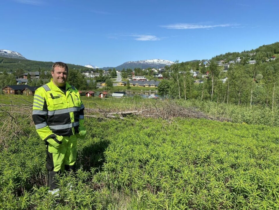 ET SKRITT VIDERE. Johnny Mathisen, daglig leder i Salten entreprenør og eiendom AS (SEE) ved området der reguleringsplanen for 8 boligtomter nå er vedtatt. ET SKRITT VIDERE. Johnny Mathisen, daglig leder i Salten entreprenør og eiendom AS (SEE) ved området der reguleringsplanen for 8 boligtomter nå er vedtatt. Foto: Eva S. Winther