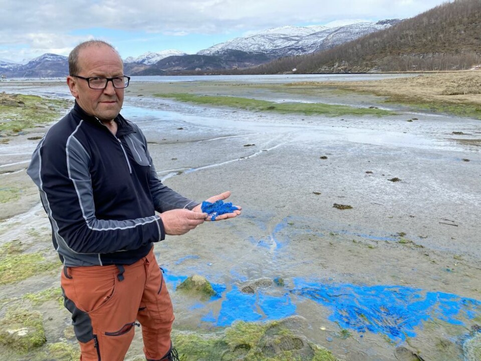 OPPRØRT. Nabo Tom Egil Karlsen vil ha svar på hva som har drevet i land i fjæra i Vik. OPPRØRT. Nabo Tom Egil Karlsen vil ha svar på hva som har drevet i land i fjæra i Vik. Foto: Helge Simonsen
