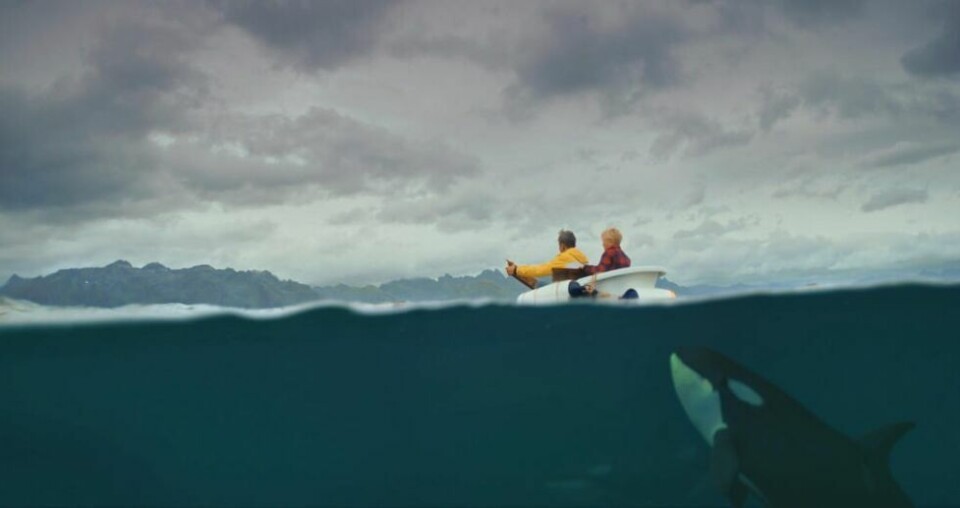 SØKER SKUESPILLERE. Har du en drøm om å være på TV, kan den nå gå i oppfyllelse. Det søkes etter unge nordnorske skuespillere til en ny NRK-produksjon til høsten. SØKER SKUESPILLERE. Har du en drøm om å være på TV, kan den nå gå i oppfyllelse. Det søkes etter unge nordnorske skuespillere til en ny NRK-produksjon til høsten. Foto: Rabalder film