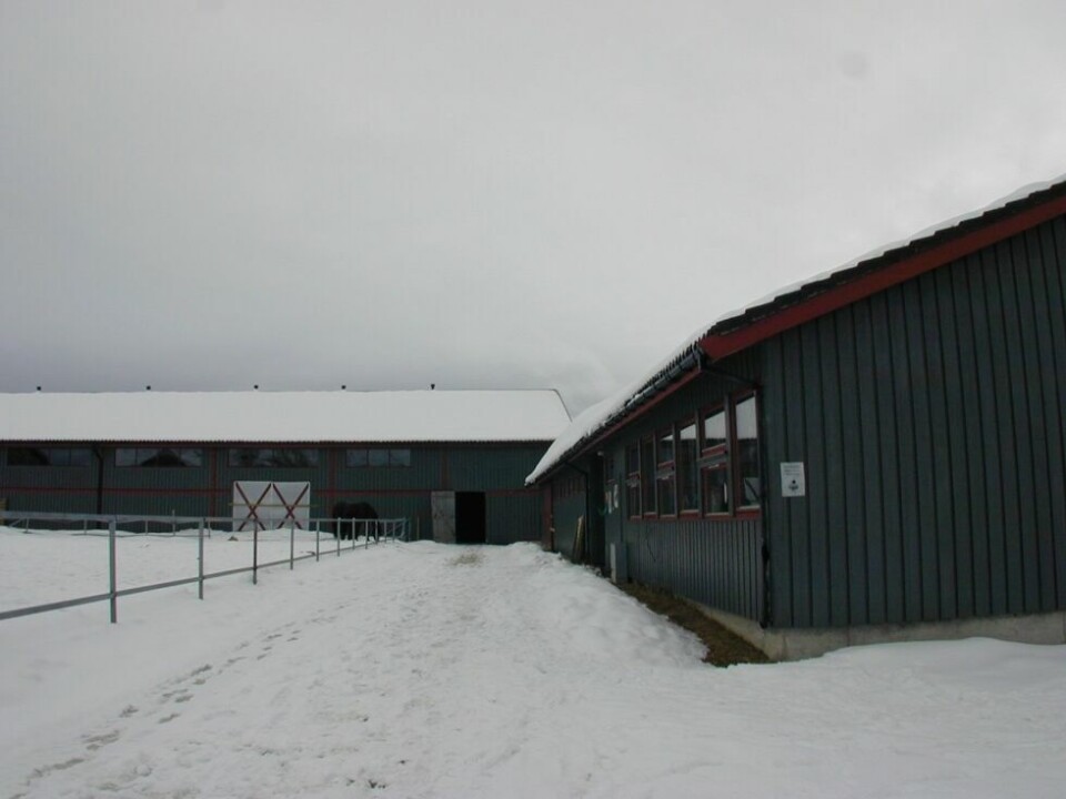 RIDEHALL ØDELAGT. Ridehallen er den bakerste bygningen på bildet, og det var den som kollapset mandag ettermiddag. Stallen er bygget til høyre. Ingen mennesker eller dyr skal ha kommet til skade. RIDEHALL ØDELAGT. Ridehallen er den bakerste bygningen på bildet, og det var den som kollapset mandag ettermiddag. Stallen er bygget til høyre. Ingen mennesker eller dyr skal ha kommet til skade. Foto: Arkiv
