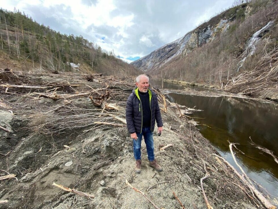HASTER Å RYDDE. Ordfører Rune Berg kan bare konstatere at det er mye skog som ligger flat etter rasene i Junkerdal tidligere i vinter. Nå fryktes det at en flomstor elv kan ta alt med seg nedover dalen om det ikke tas hånd om raskt. HASTER Å RYDDE. Ordfører Rune Berg kan bare konstatere at det er mye skog som ligger flat etter rasene i Junkerdal tidligere i vinter. Nå fryktes det at en flomstor elv kan ta alt med seg nedover dalen om det ikke tas hånd om raskt. Foto: Helge Simonsen