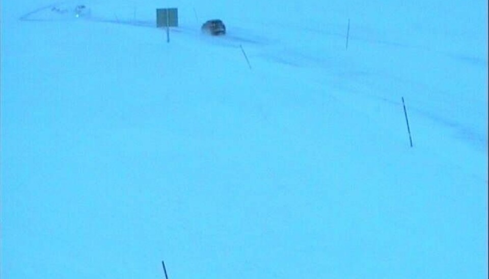 Det er kolonnekjøring på Beiarfjellet nå. Det er kolonnekjøring på Beiarfjellet nå. Foto: Webkamera, Statens vegvesen