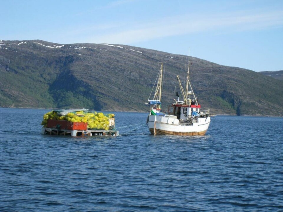De siste årene har Iris Salten hatt et eget strandrydde-prosjekt med innlagt konkurranse. De siste årene har Iris Salten hatt et eget strandrydde-prosjekt med innlagt konkurranse. Foto: Utlånt fra Iris Salten