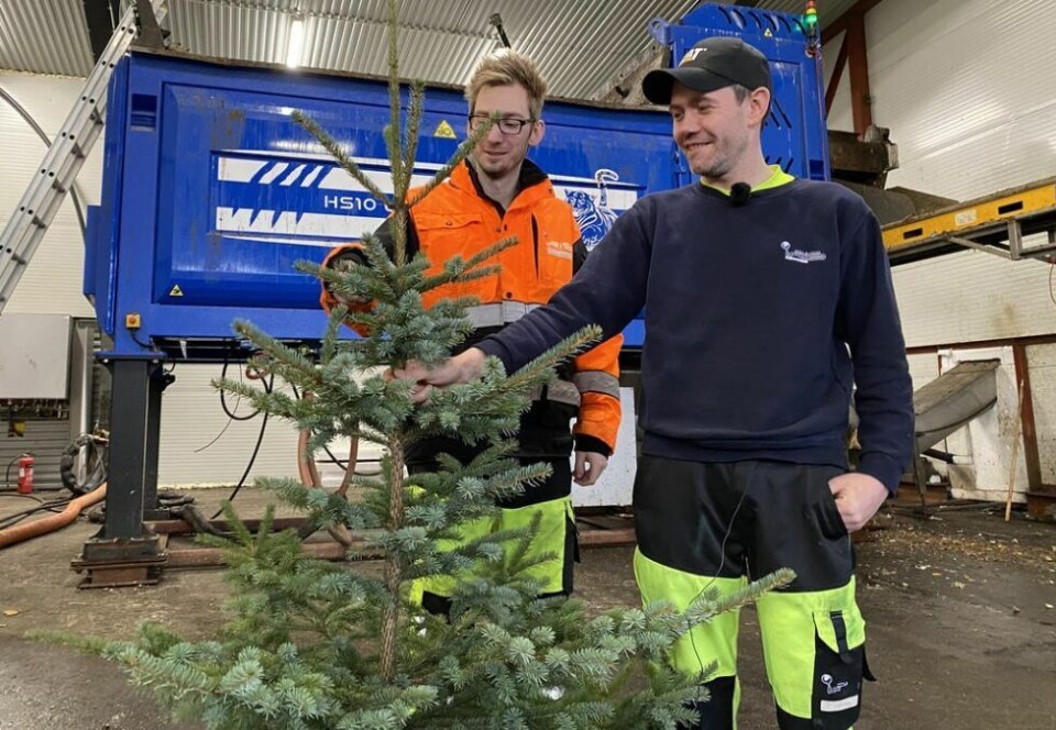 OPPFORDRING. Dennis Kristensen og Inge Olsen kommer med en klar oppfordring om at juletreet ikke må kappes opp og kastes i matavfallsdunken, men leveres som hageavfall til Iris. OPPFORDRING. Dennis Kristensen og Inge Olsen kommer med en klar oppfordring om at juletreet ikke må kappes opp og kastes i matavfallsdunken, men leveres som hageavfall til Iris. Foto: Iris