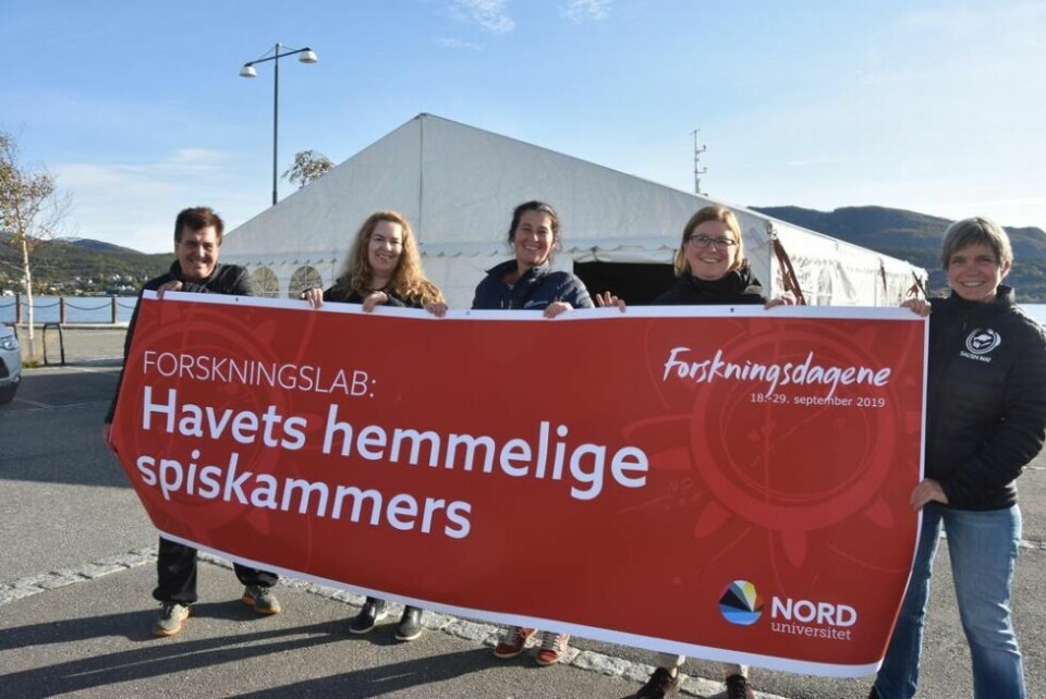 NAMNAM? Arild Bjørnbakk i Salten Mat, Monica Brinchmann, fakultet for biovitenskap og akvakultur, Dorte Eide, Handelshøgskolen, Elisabeth Ljunggren fakultet for samfunnsvitenskap og Hege Ruud i Salten Mat gleder seg til å ta imot folk i forskningsteltet. NAMNAM? Arild Bjørnbakk i Salten Mat, Monica Brinchmann, fakultet for biovitenskap og akvakultur, Dorte Eide, Handelshøgskolen, Elisabeth Ljunggren fakultet for samfunnsvitenskap og Hege Ruud i Salten Mat gleder seg til å ta imot folk i forskningsteltet.