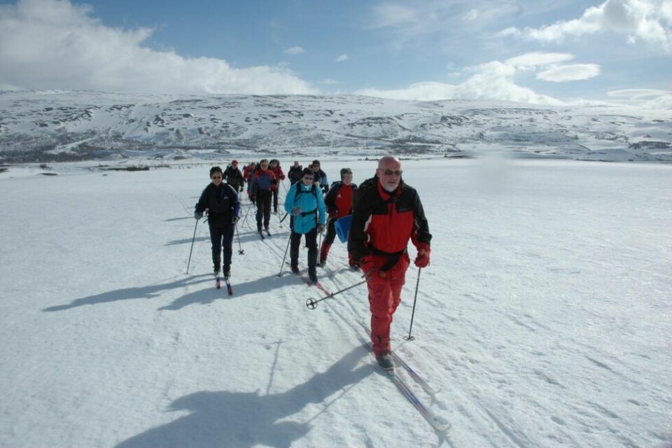 NYTT TURÅR. I år planlegges det ordførerens tur i Salten-kommunene. Her fra en tidligere tur, der Kjell Magne Johansen ledet an til Semsktoppen. NYTT TURÅR. I år planlegges det ordførerens tur i Salten-kommunene. Her fra en tidligere tur, der Kjell Magne Johansen ledet an til Semsktoppen. Foto: Saltenposten