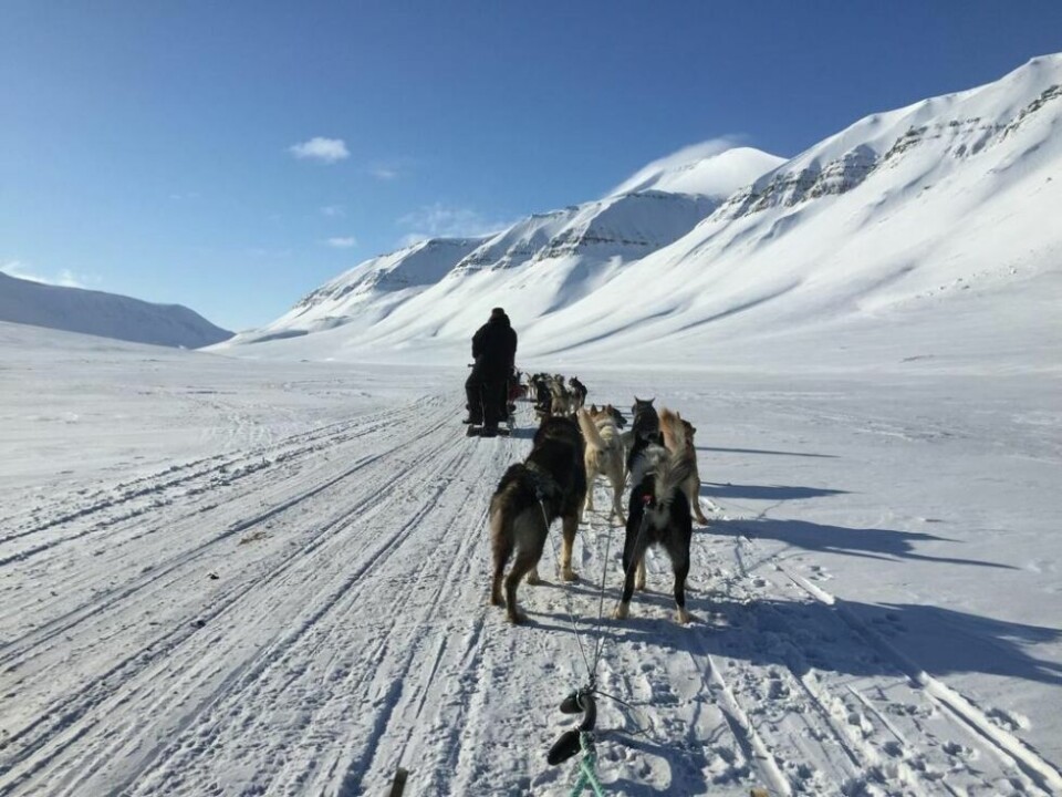 BLIR KJENT. Fjellfarer i Sulitjelma deltar på reiselivskonferanse i Bodø mandag og tirsdag, i regi av Visit Bodø. De mener det er viktig at reiselivsnæringen i Salten blir kjent med hverandre. BLIR KJENT. Fjellfarer i Sulitjelma deltar på reiselivskonferanse i Bodø mandag og tirsdag, i regi av Visit Bodø. De mener det er viktig at reiselivsnæringen i Salten blir kjent med hverandre. Foto: Mona Mosti