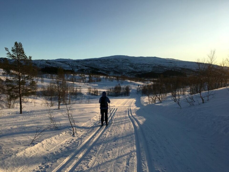 SKADET. Fridalen er et yndet område or skiløpere. Mandag skadet en gutt kneet og ble hentet av Røde Kors. SKADET. Fridalen er et yndet område or skiløpere. Mandag skadet en gutt kneet og ble hentet av Røde Kors. Foto: Eva S. Winther