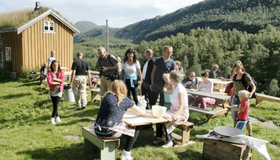 TRENGER FLERE. Husmannsplassen i Kjelvik er et av Nordlandsmuseets avdelinger der de trenger flere sommerverter. Arkivfoto: Maria Trondsen TRENGER FLERE. Husmannsplassen i Kjelvik er et av Nordlandsmuseets avdelinger der de trenger flere sommerverter. Arkivfoto: Maria Trondsen