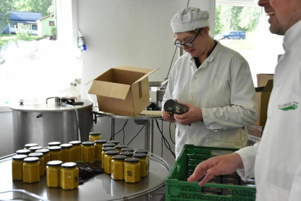 LOKAL MATPRODUKSJON. Det kan bli flere produkter enn sennepproduksjon fra Arctic Mustard. LOKAL MATPRODUKSJON. Det kan bli flere produkter enn sennepproduksjon fra Arctic Mustard. Foto: Victoria Finstad