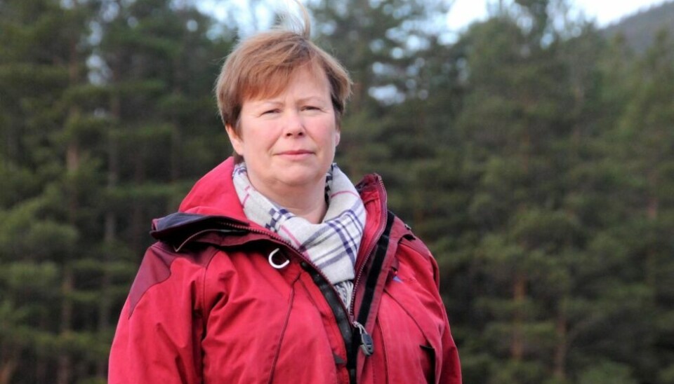 ULVEHYL. Ulvehylene hørtes heller ikke i mitt hjemfylke Nordland, selv om noen påstår at også det fylket var «avsatt til ulv», skriver stortingsrepresentant Siv Mossleth fra Saltdal i dette leserinnlegget. ULVEHYL. Ulvehylene hørtes heller ikke i mitt hjemfylke Nordland, selv om noen påstår at også det fylket var «avsatt til ulv», skriver stortingsrepresentant Siv Mossleth fra Saltdal i dette leserinnlegget. Foto: Maria E. Trondsen
