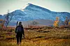 Rypejakta starter søndag. På tross av begrensede jaktmuligheter i sør, er det stort sett folk fra Nord-Norge som jakter i landsdelen. Foto: Magnus Beyer Brattli