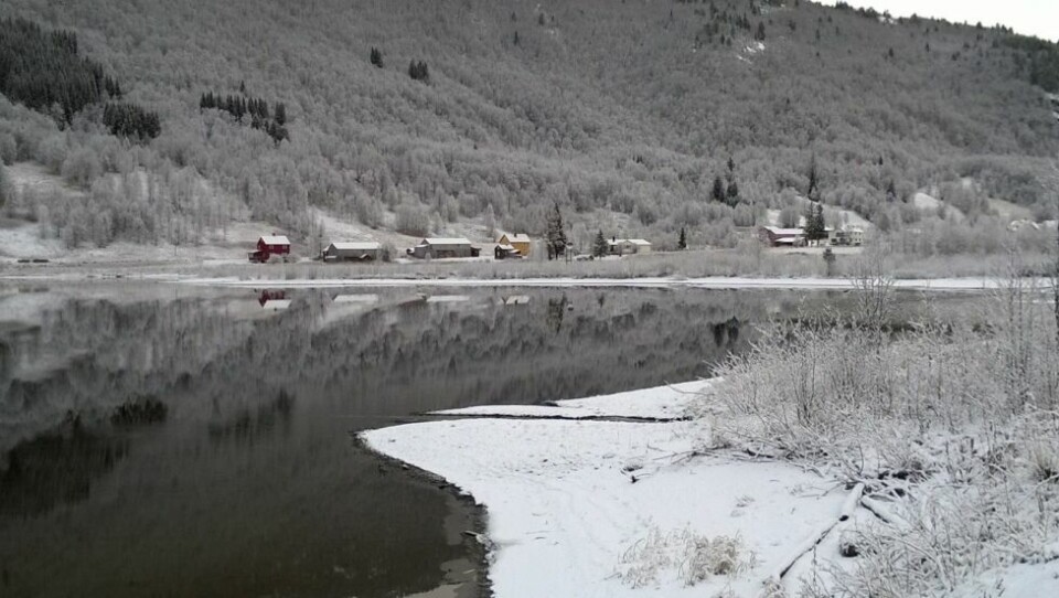 HAR IKKE RÅD. Rådmannen ser ikke at Saltdal kommune har penger til å bidra med for at Vassbotn og flere andre bygder Saltdal skal få bredbånd. HAR IKKE RÅD. Rådmannen ser ikke at Saltdal kommune har penger til å bidra med for at Vassbotn og flere andre bygder Saltdal skal få bredbånd. Foto: Eva Kristensen