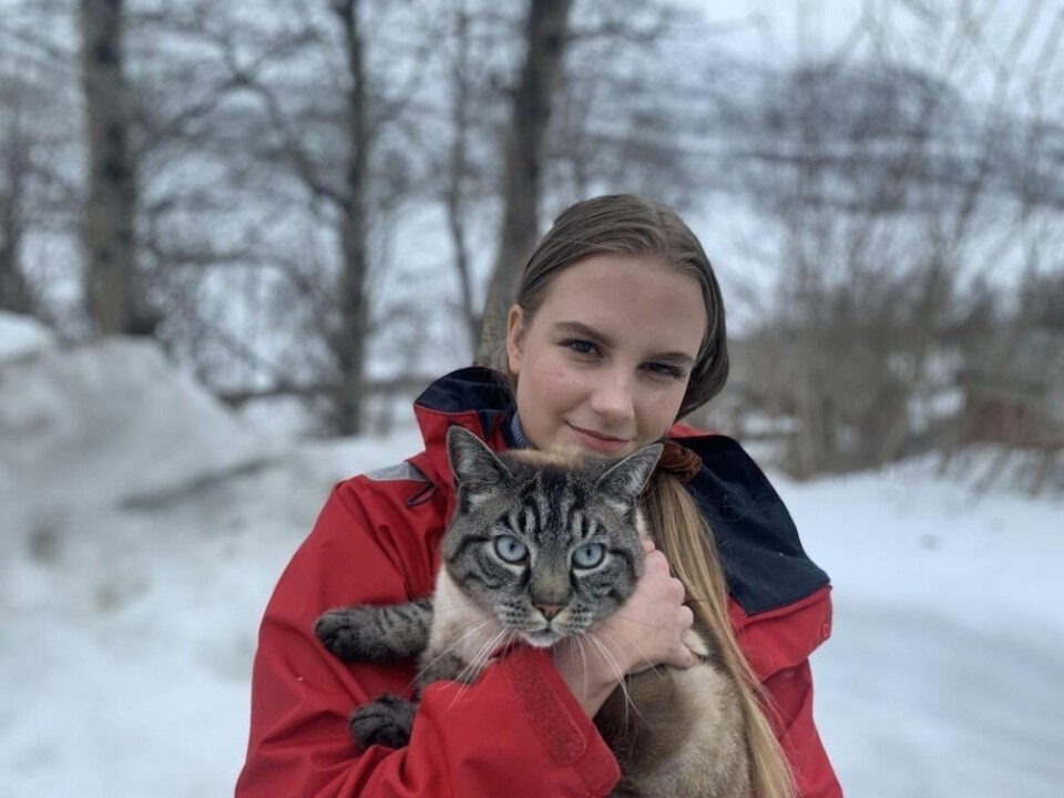 ENGASJERT. Victoria Elisabeth Andal er både leder i Fauske AUF, medlem i sentralstyret Ungdom mot EU - og matmor til Fniffe (4). ENGASJERT. Victoria Elisabeth Andal er både leder i Fauske AUF, medlem i sentralstyret Ungdom mot EU - og matmor til Fniffe (4). Foto: Espen Johansen