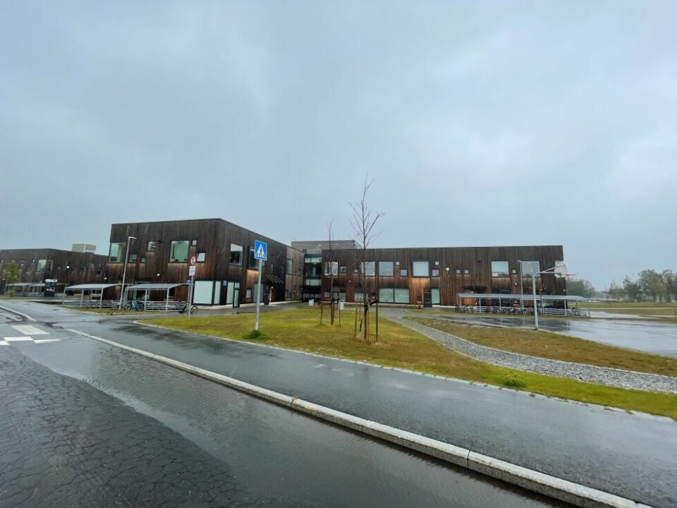 FRIFUNNET. Det har for lengst kommet en ny skole på plass der den gamle ungdomsskolen lå på Vestmyra. Selv om Fauske kommune ble frifunnet i det siste mobbesøksmålet, er det god grunn til å ta lærdom av det som kom fram i dommen. FRIFUNNET. Det har for lengst kommet en ny skole på plass der den gamle ungdomsskolen lå på Vestmyra. Selv om Fauske kommune ble frifunnet i det siste mobbesøksmålet, er det god grunn til å ta lærdom av det som kom fram i dommen. Foto: Helge Simonsen