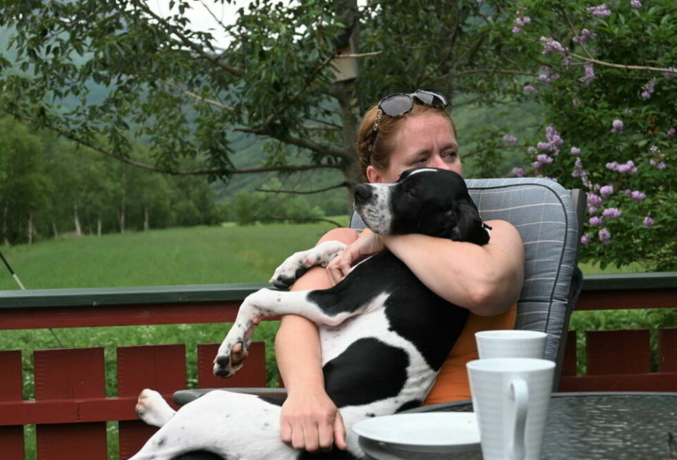HØYT ELSKET. Raptor er et høyt elsket familiemedlem. Her sammen med eier Toril Aunan. (arkivfoto) HØYT ELSKET. Raptor er et høyt elsket familiemedlem. Her sammen med eier Toril Aunan. (arkivfoto) Foto: Lise Ailin Rosvoll Berntzen