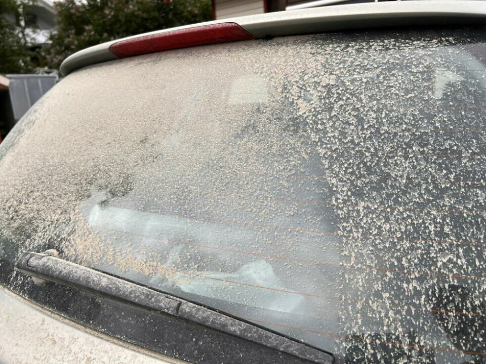 MYE SAND. Denne bilen ble kjørt på Bringsliveien i Valnesfjord og eieren er oppgitt over mengden sand og støv som blir med på kjøreturen videre. Fauske kommune har brukt opp det de hadde til kalking og får ikke mer i år. MYE SAND. Denne bilen ble kjørt på Bringsliveien i Valnesfjord og eieren er oppgitt over mengden sand og støv som blir med på kjøreturen videre. Fauske kommune har brukt opp det de hadde til kalking og får ikke mer i år. Foto: Espen Johansen