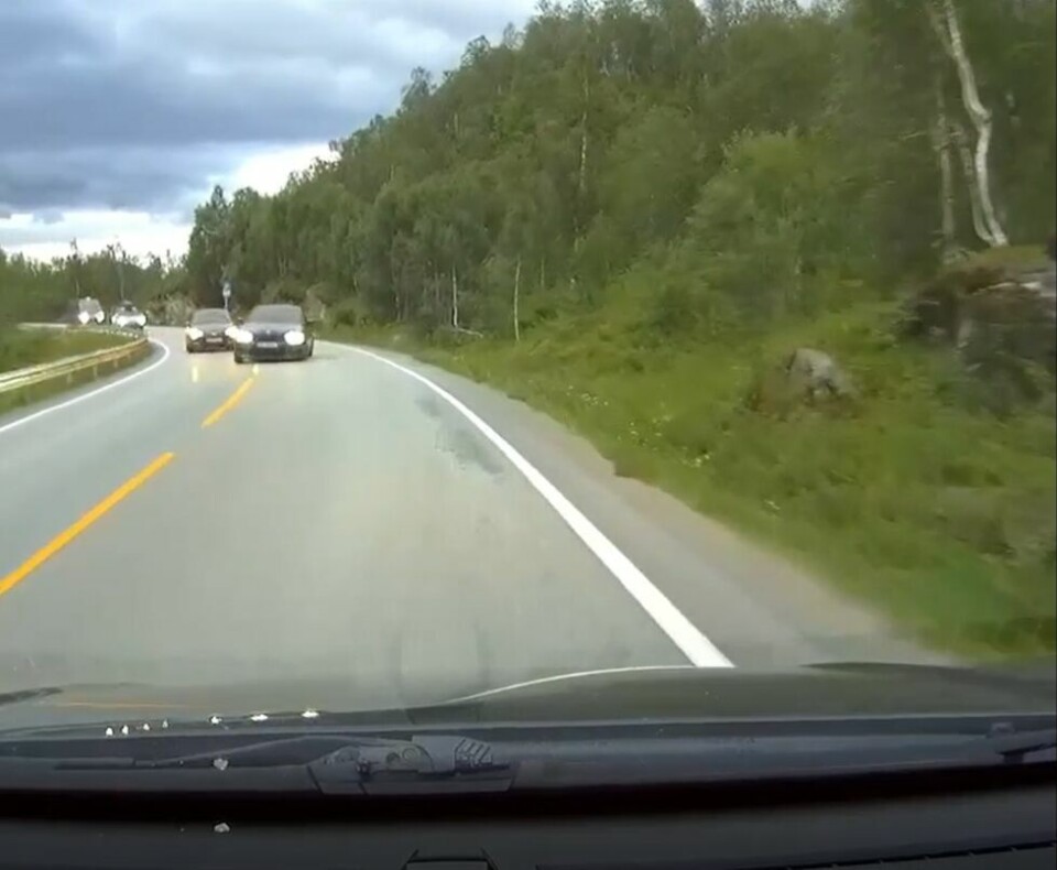 FARLIG KJØRING. Skjermdump fra videoen til Hermod Evjen fra den farlige forbikjøringa han var vitne til søndag 8. august 2021 like sør for Kjelvik i Sørfold. FARLIG KJØRING. Skjermdump fra videoen til Hermod Evjen fra den farlige forbikjøringa han var vitne til søndag 8. august 2021 like sør for Kjelvik i Sørfold.