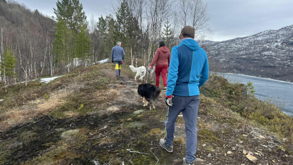 Nyt naturen er ukens enkle anbefaling. Nyt naturen er ukens enkle anbefaling. Foto: Kine Normann Godtfredsen