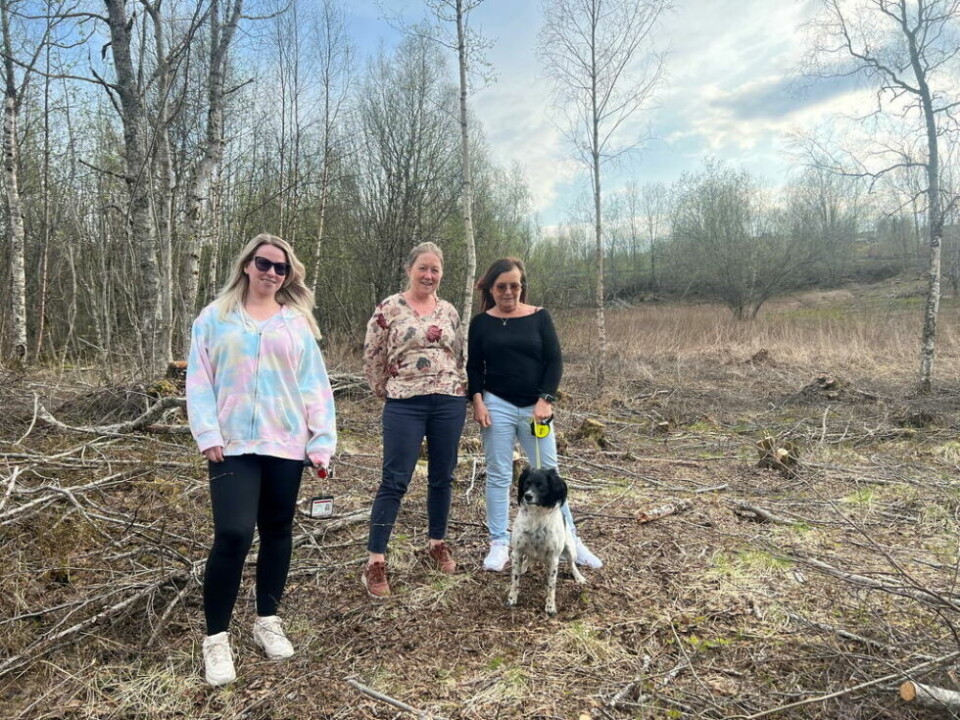 FORENER HUNDEFOLKET. Straumen hundepark ble nylig opprettet med leder Sten Robert Hansen. Her er fra venstre styremedlemmene Arianne Dåbakk Jensen og Marianne Åsbakk, og kasserer Zoy N. Lillegård. Nå søker de kommunen om å få frigjort område til formålet. FORENER HUNDEFOLKET. Straumen hundepark ble nylig opprettet med leder Sten Robert Hansen. Her er fra venstre styremedlemmene Arianne Dåbakk Jensen og Marianne Åsbakk, og kasserer Zoy N. Lillegård. Nå søker de kommunen om å få frigjort område til formålet. Foto: Sten Robert Hansen