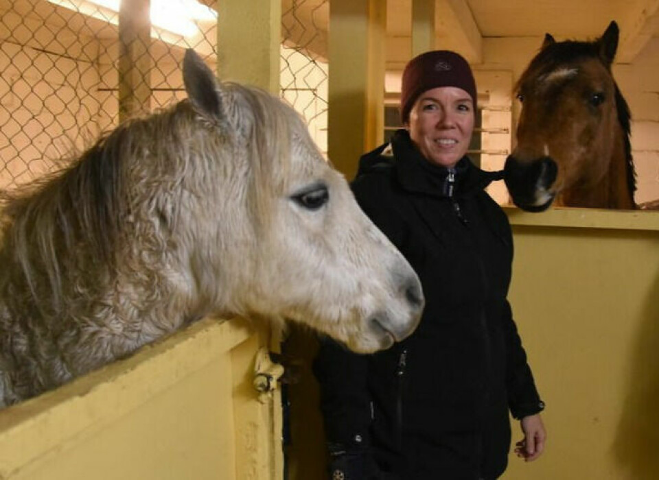 LEGGER NED. Dagtilbudet ved Stall Elverhøy i Valnesfjord legges ned. - Det er trasig både for oss og brukerne, sier Marita Hammernes. De vil fremdeles leie ut stallplasser og ha 4H-aktiviteter på gården, men det er det eneste. Arkivfoto LEGGER NED. Dagtilbudet ved Stall Elverhøy i Valnesfjord legges ned. - Det er trasig både for oss og brukerne, sier Marita Hammernes. De vil fremdeles leie ut stallplasser og ha 4H-aktiviteter på gården, men det er det eneste. Arkivfoto