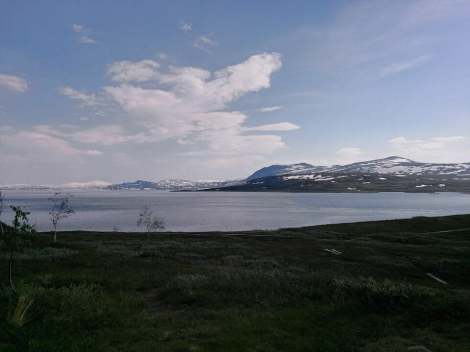 UBERØRT NATUR. Kiosken ligger i Europas største vernede naturområde. UBERØRT NATUR. Kiosken ligger i Europas største vernede naturområde.