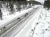 REIN. Statens vegvesen advarer om rein ved og på E6 flere steder i Saltdal tirsdag. Foto: Vegvesenet webkamera