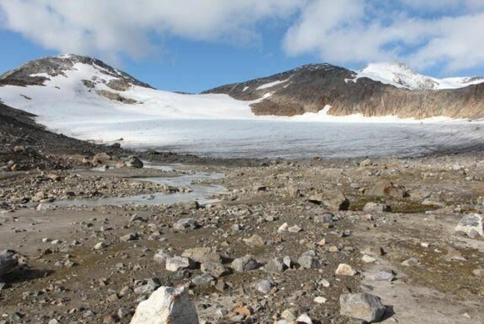 TILBAKE. Fronten til Trollbergdalsbreen i Beiarn har trukket seg tilbake 180 meter på ti år. Jan TILBAKE. Fronten til Trollbergdalsbreen i Beiarn har trukket seg tilbake 180 meter på ti år. Jan Foto: Inge Karlsen/NVE.